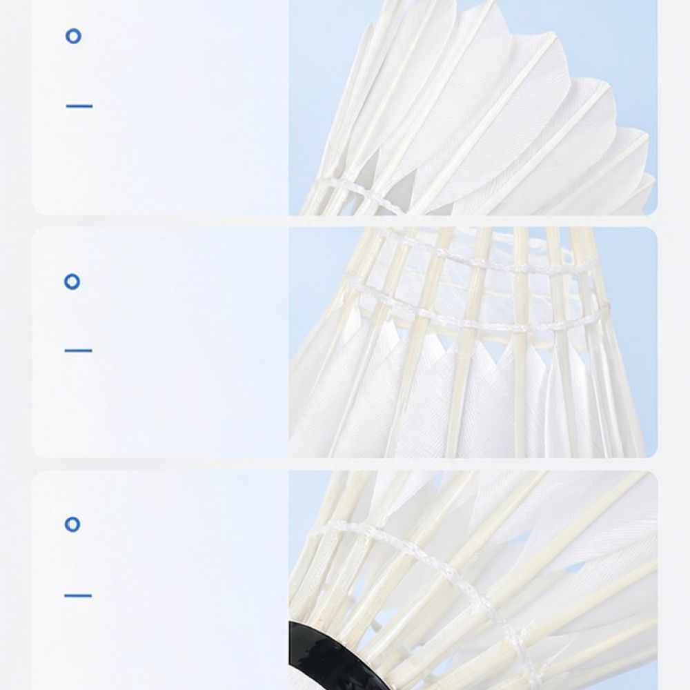 Volano da badminton profession - Feather Shuttlecock recensione e prezzo