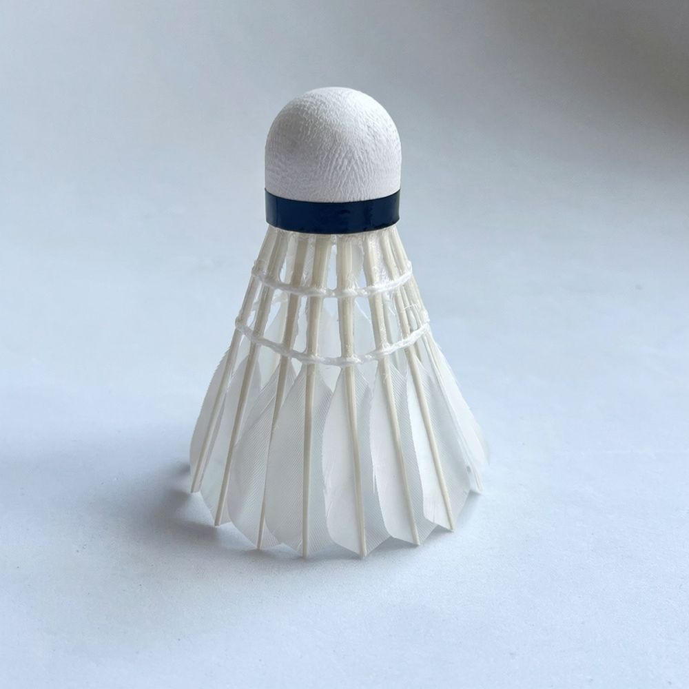Volano da badminton profession - Feather Shuttlecock recensione e prezzo